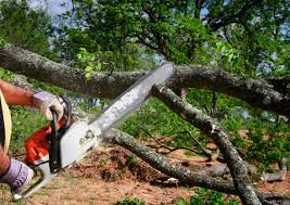 Best Soil Testing and Treatment  in Edgewood, NM