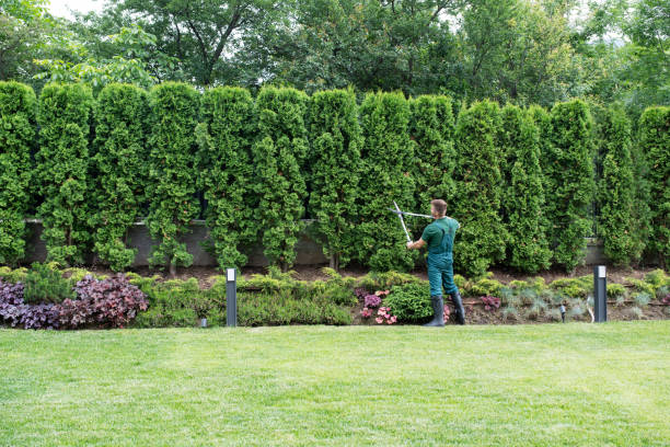 Best Hazardous Tree Removal  in Edgewood, NM