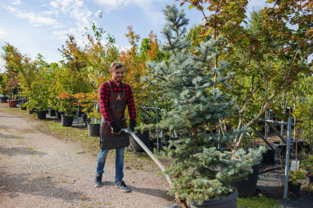 Mulching Services in Edgewood, NM